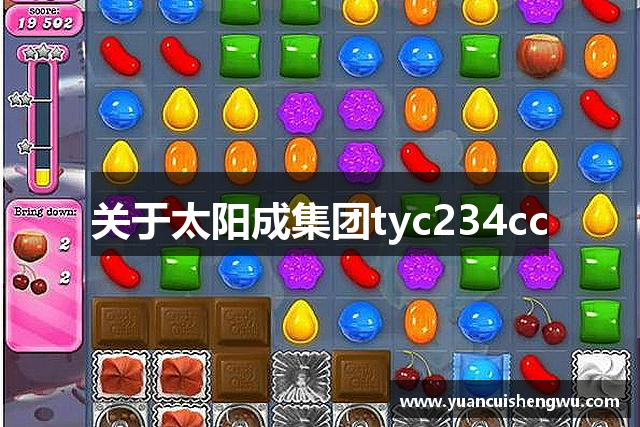 关于太阳成集团tyc234cc